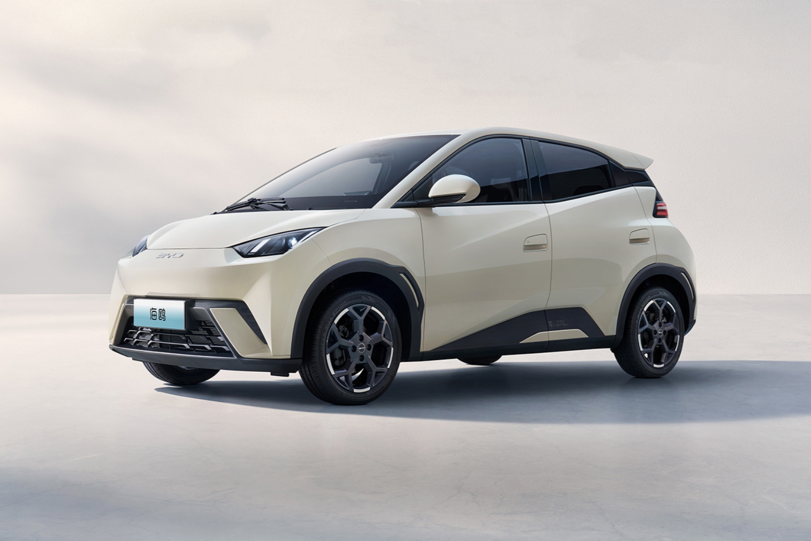 2025款比亞迪海鷗